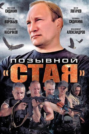 Позывной Стая