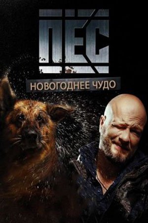 обложка к сериалу Новогодний Пёс