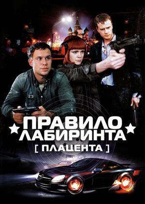 обложка к сериалу Правило лабиринта